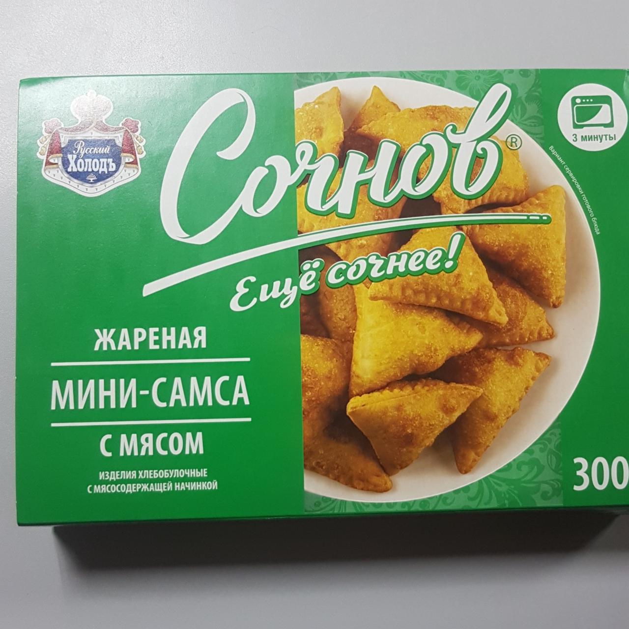 Фото - Мини самса с мясом Русский холод