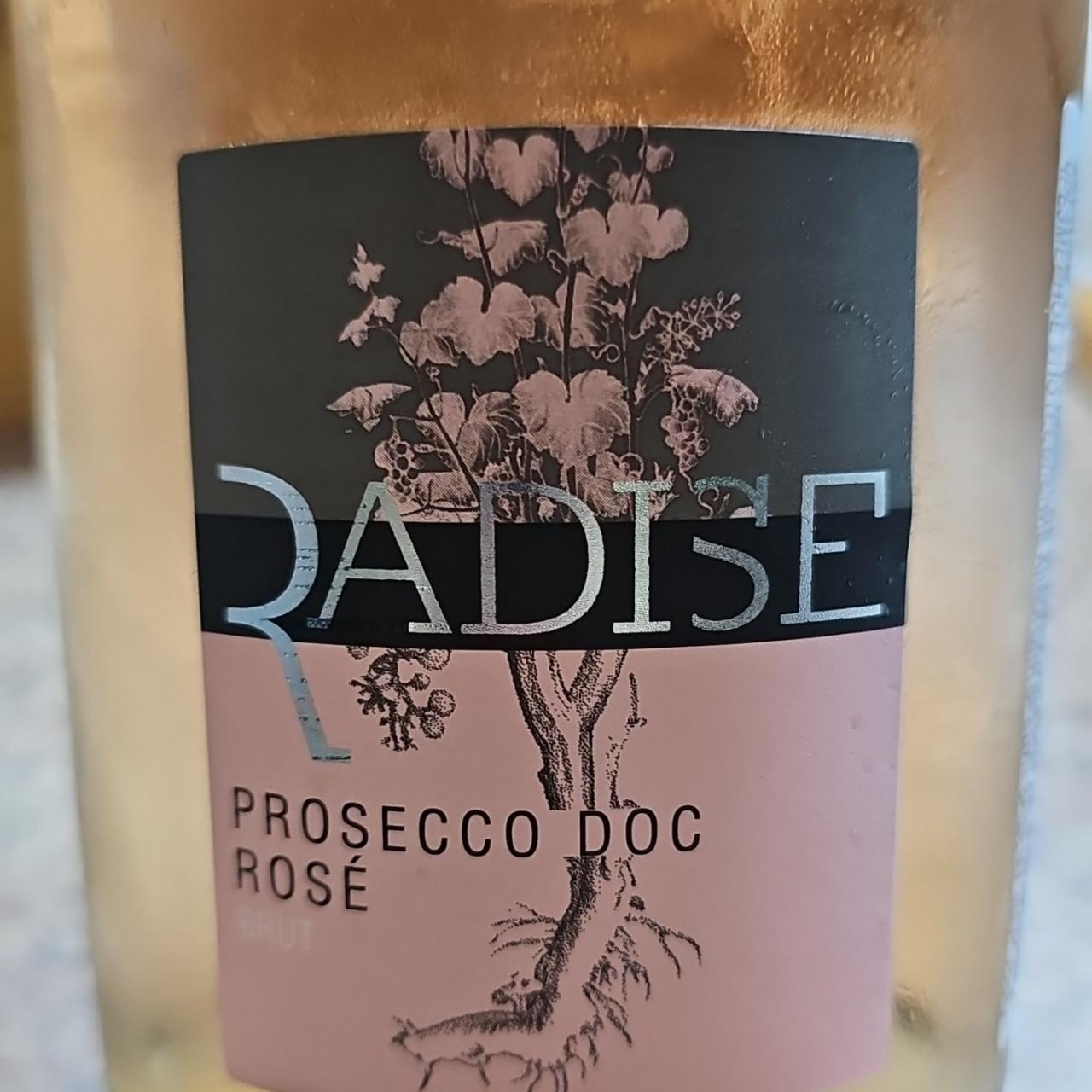 Фото - Игристое вино розовое брют Prosecco Rose Brut Radise