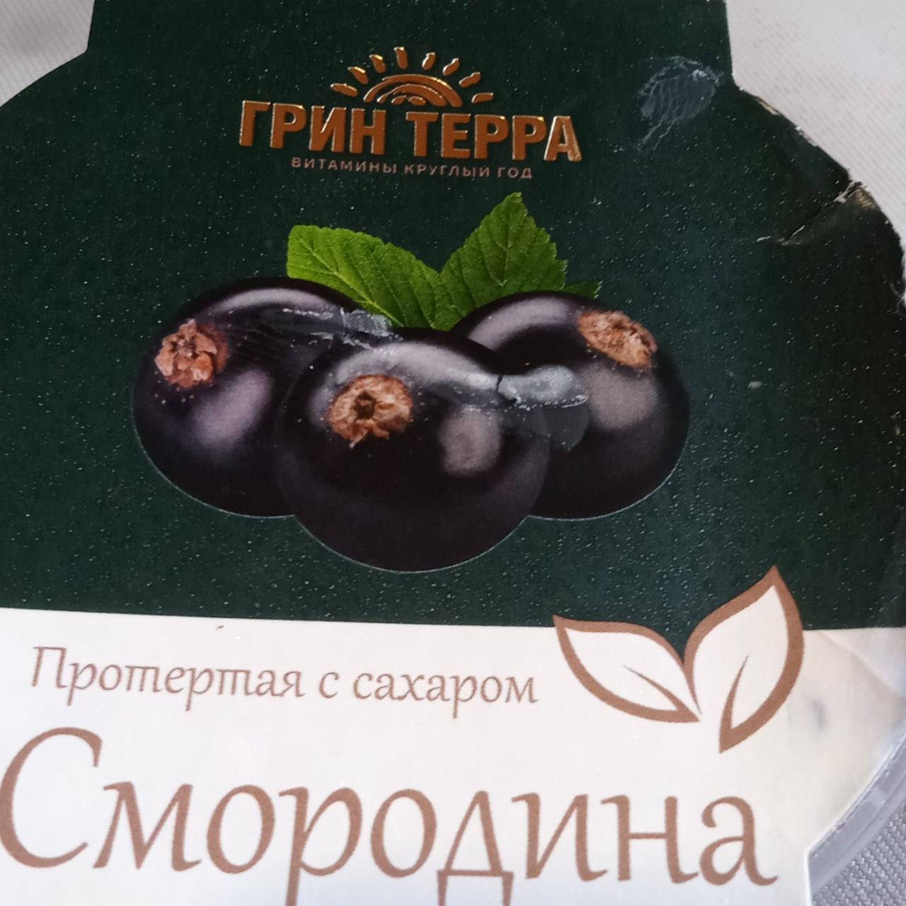 Фото - Протёртая с сахаром смородина Грин Терра Вкуслэнд