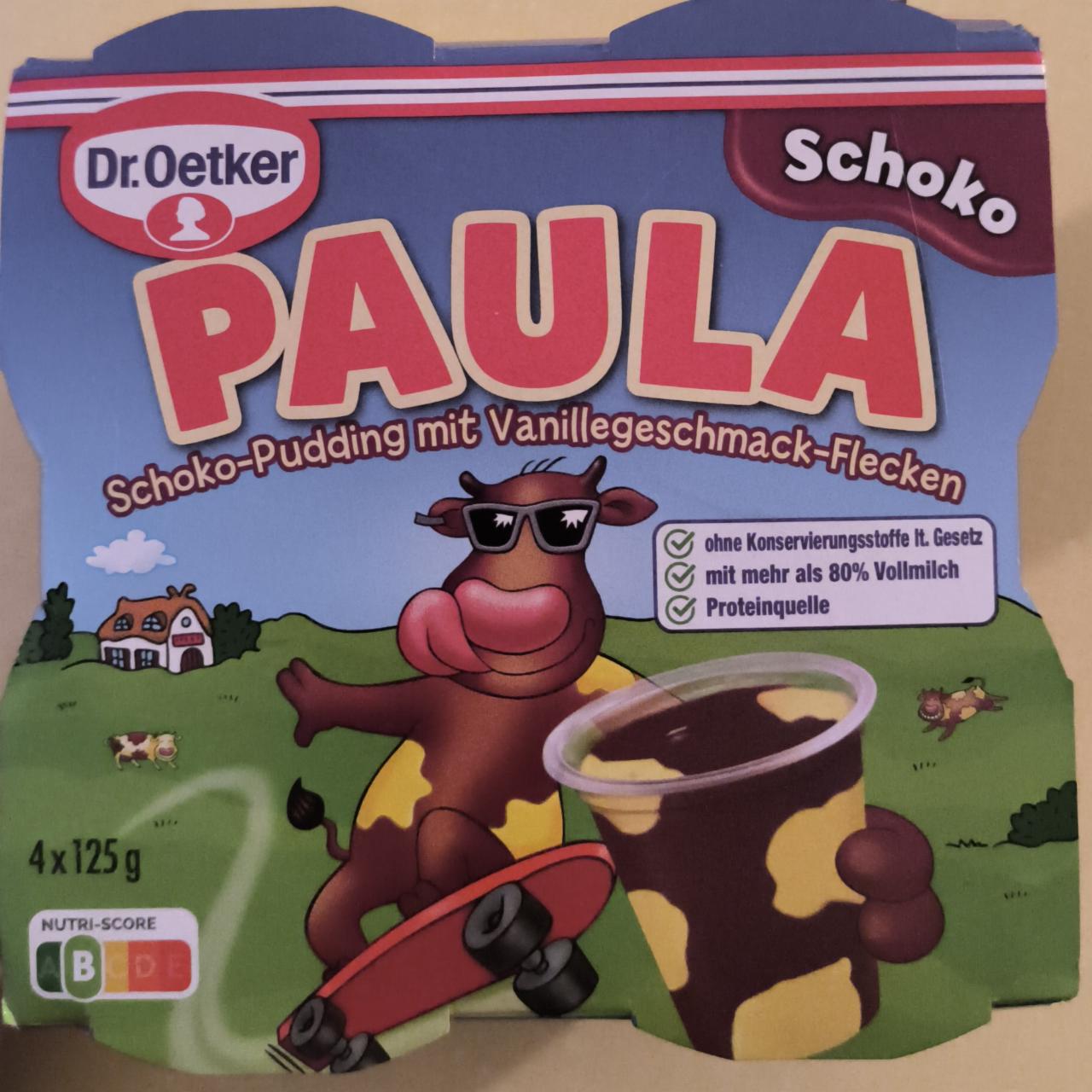 Фото - Paula Schoko-Pudding mit Vanillegeschmack-Flecken Dr.Oetker