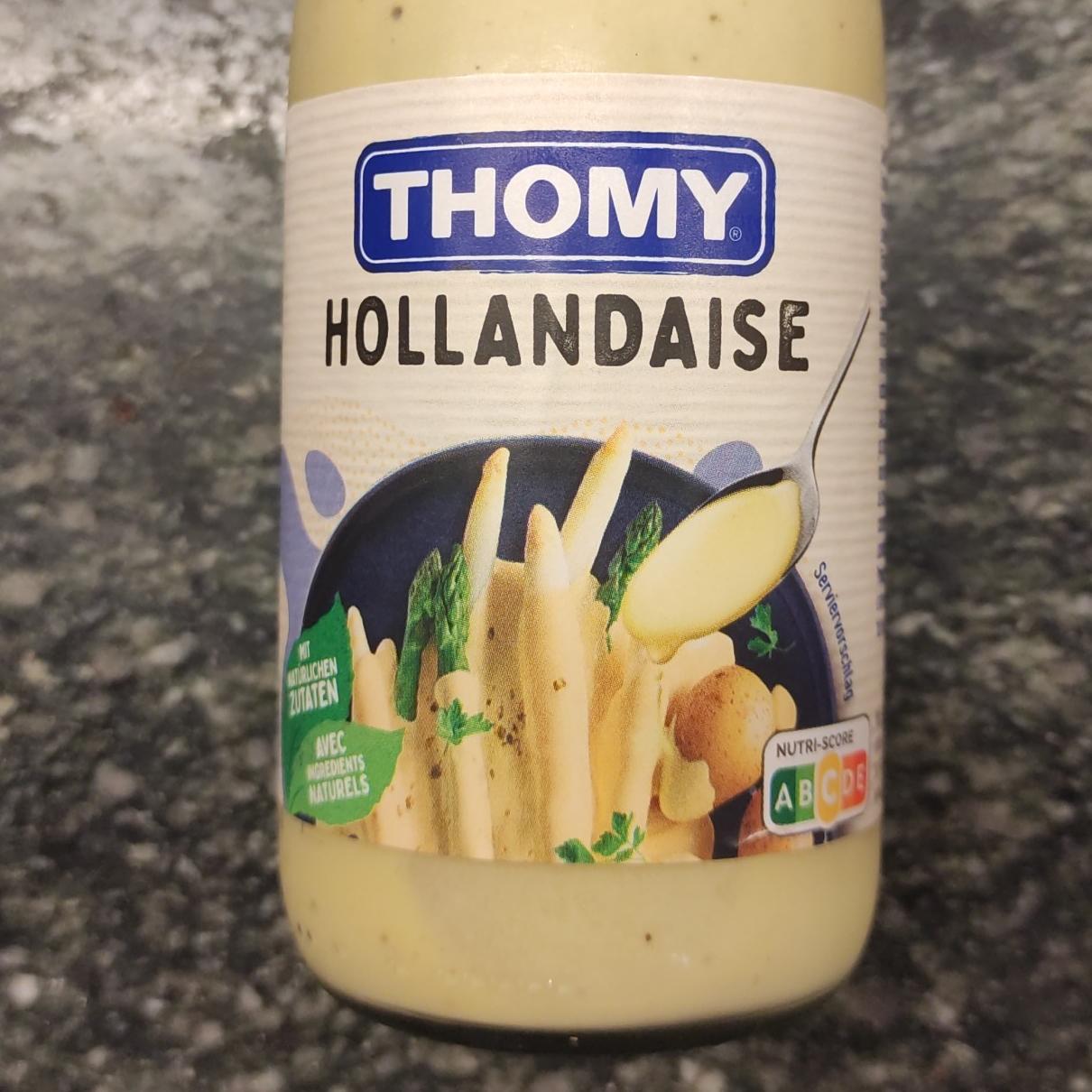 Фото - соус голландский Hollandaise Thomy