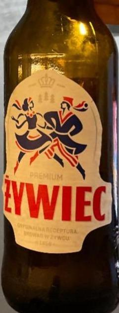 Фото - Beer Żywiec