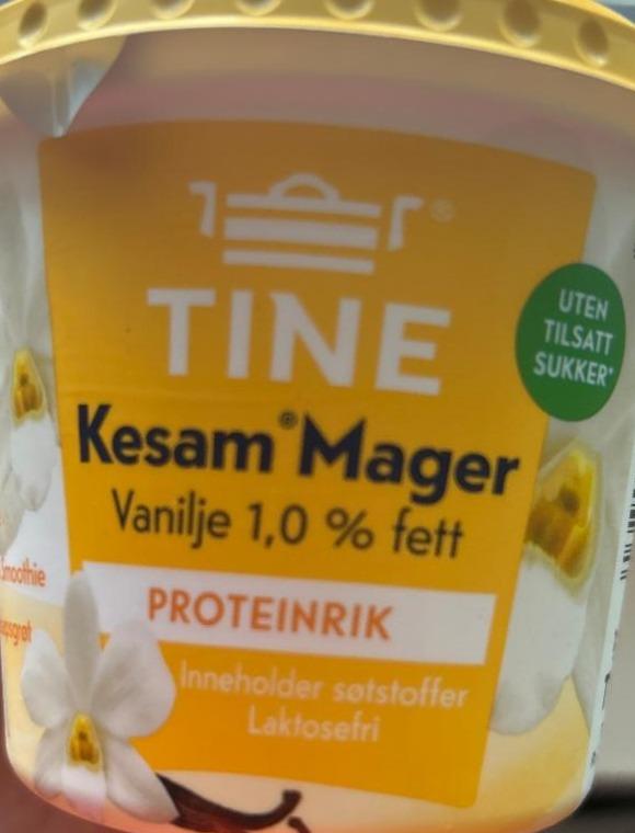 Фото - Kesam mager proteinrik lnneholder sotstoffer laktosefri vanilje Tine