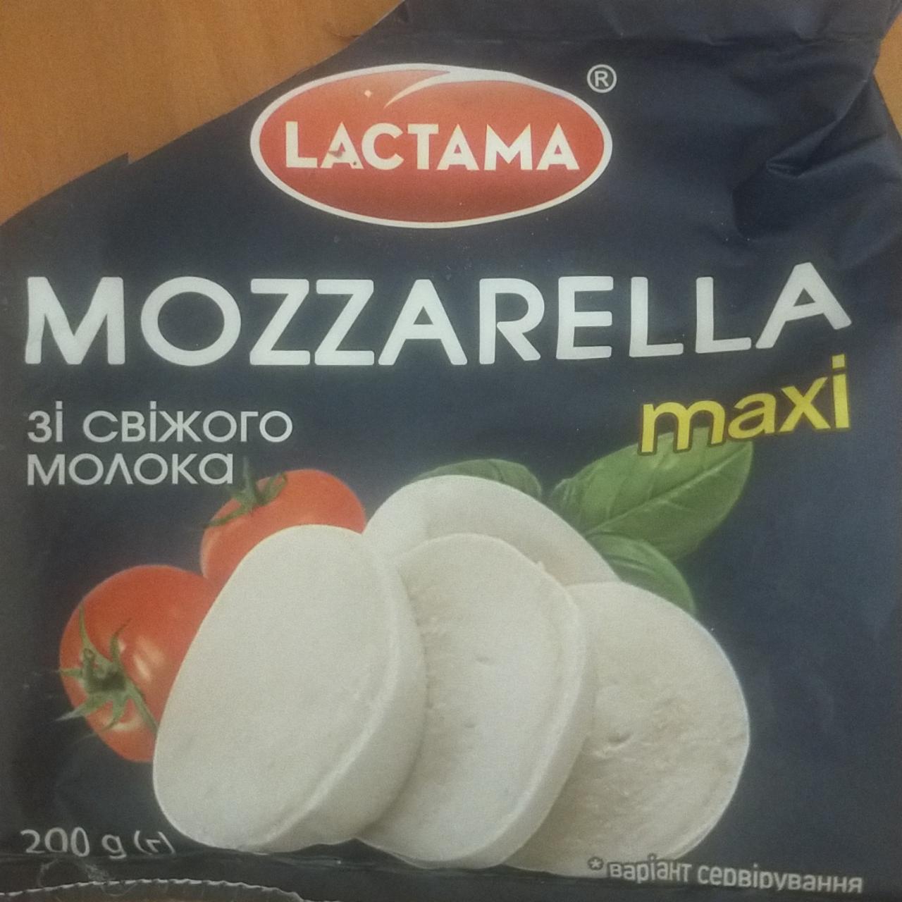 Фото - Mozzarella maxi Lactama