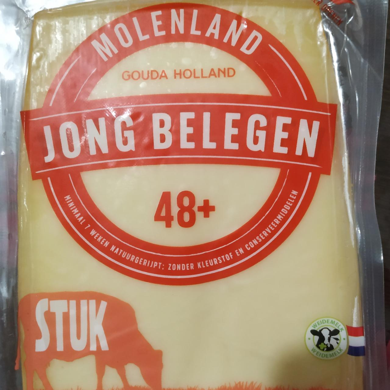 Фото - Гауда Gouda Holland Jong Belegen Molenland