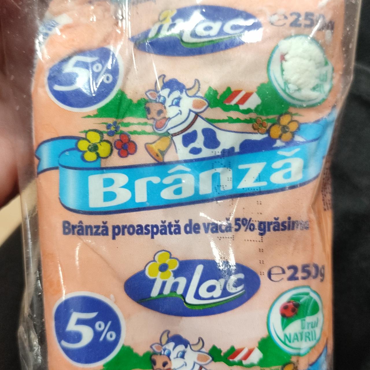 Фото - Brănză proaspătă de vacă 5% Inlac