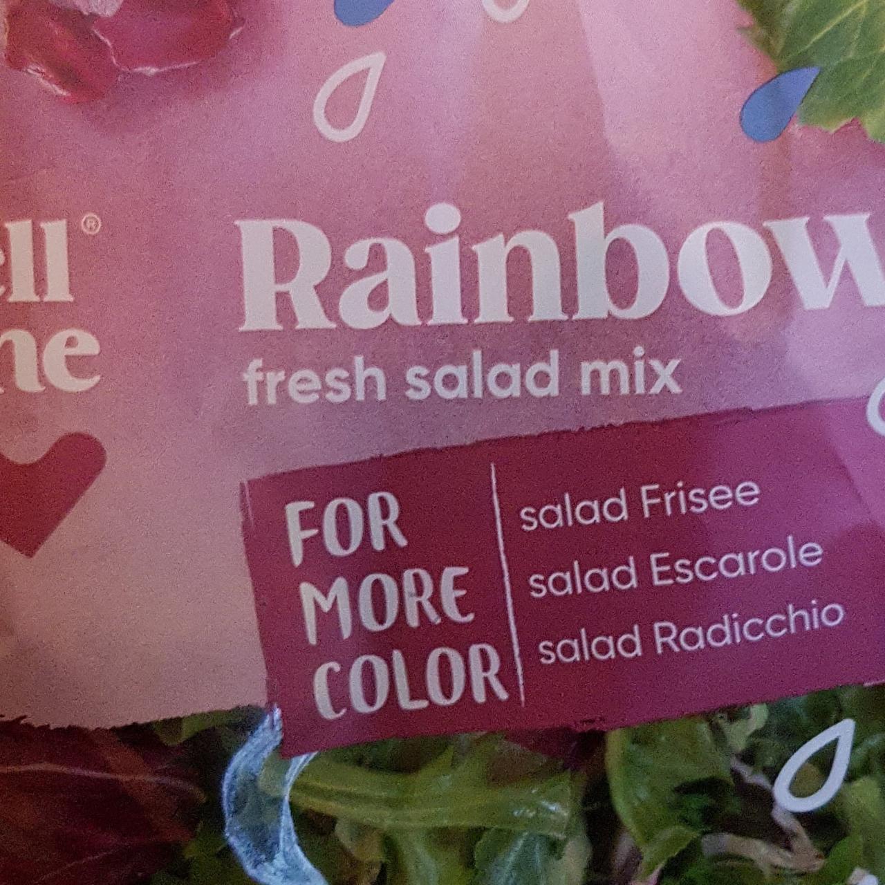 Фото - Rainbow fresh salad mix Well done