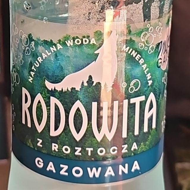 Фото - Woda gazowana z Roztocza Rodowita