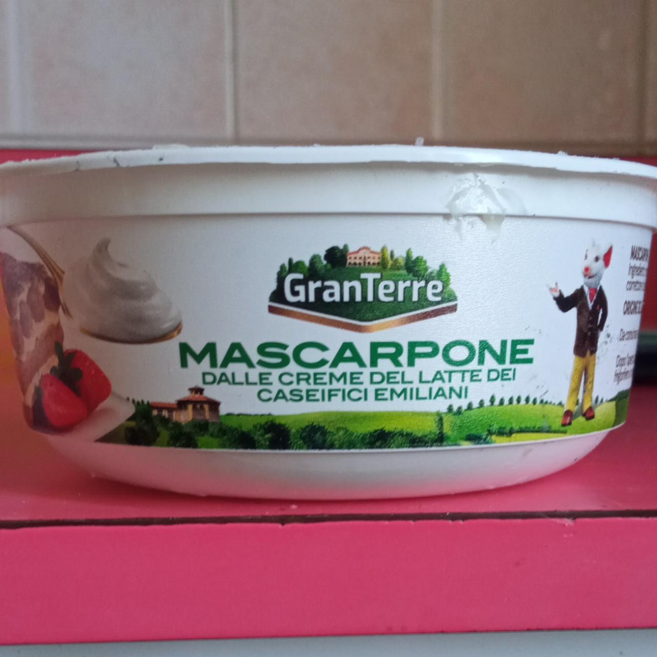 Фото - Mascarpone GranTerre