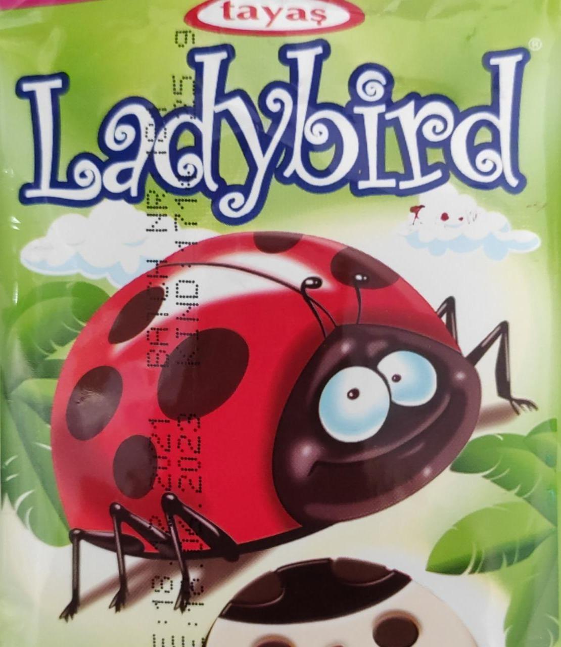 Фото - Ladybird Tayas