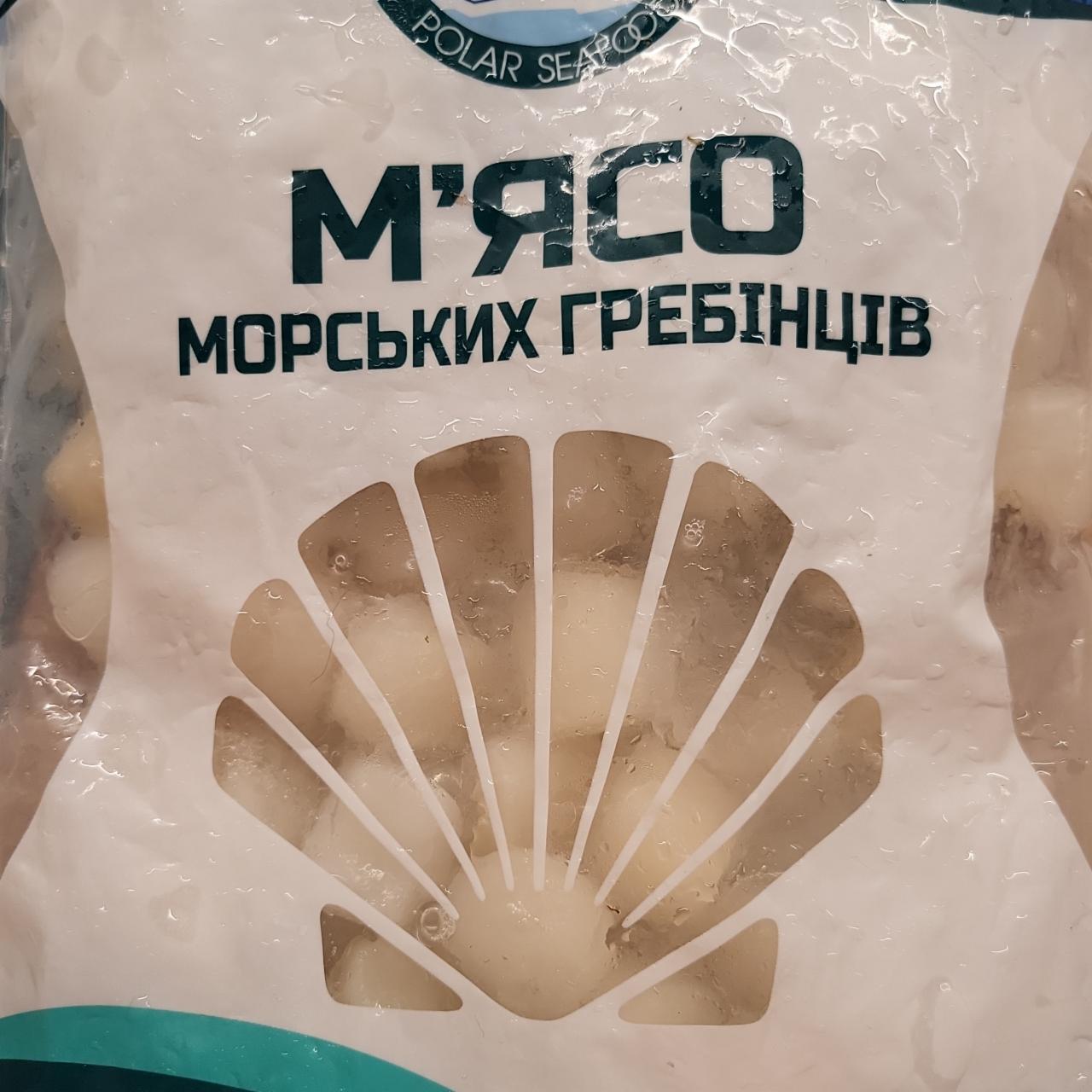 Фото - Мясо морских гребешоков Polar seafood