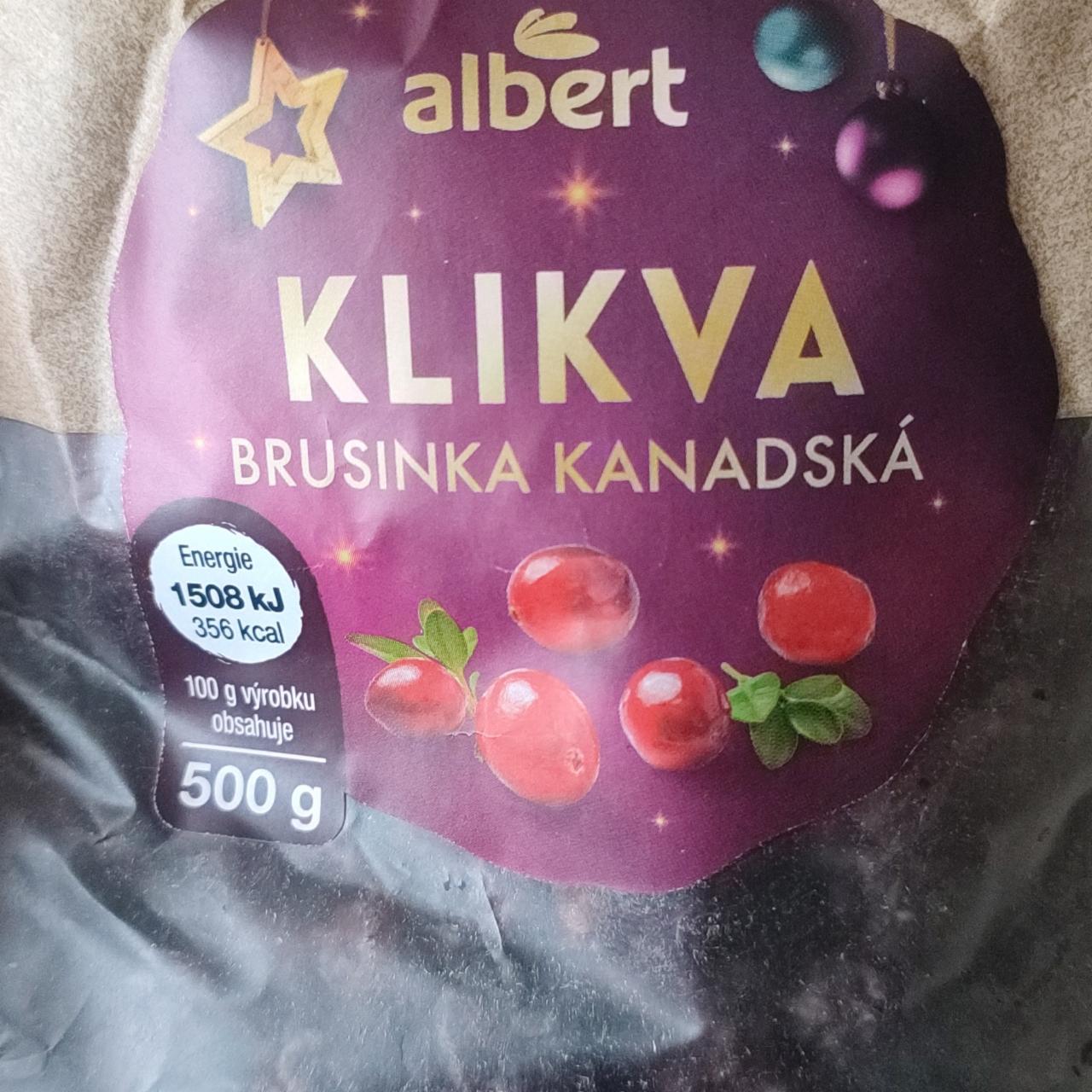 Фото - Klikva brusinka kanadská Albert