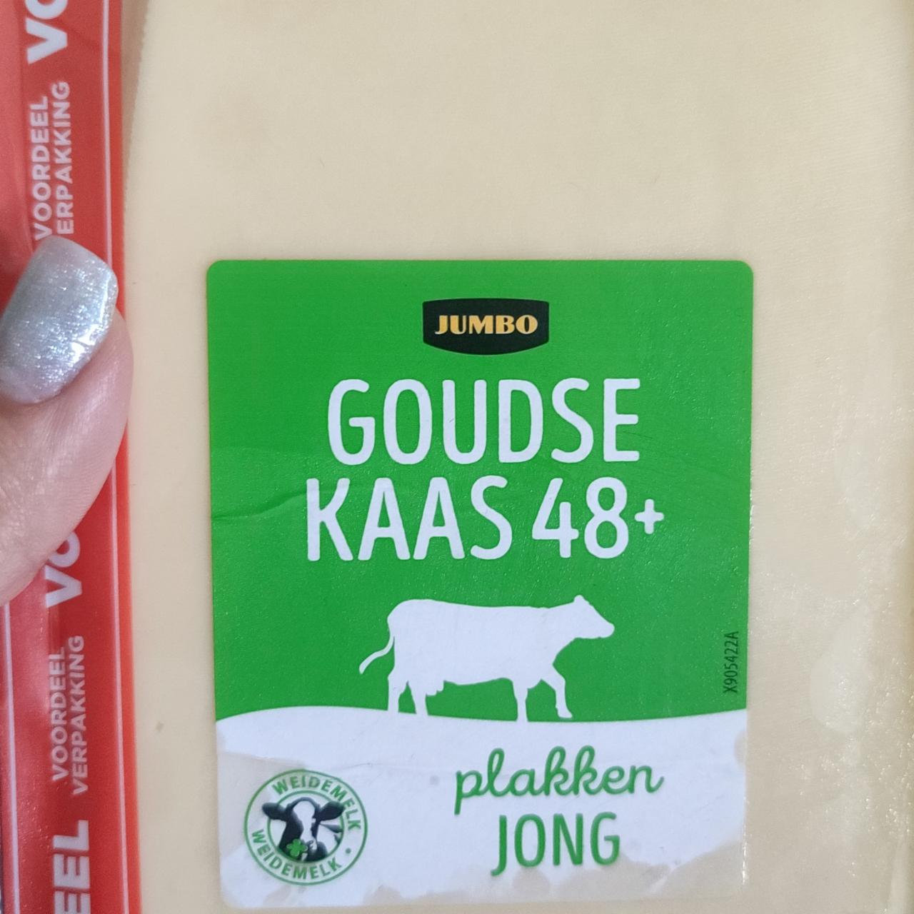 Фото - Goudse Kaas plakken jong 48+ Jumbo