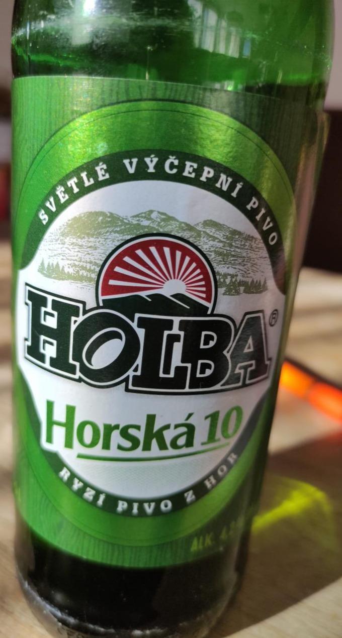 Фото - Holba Horská 10°