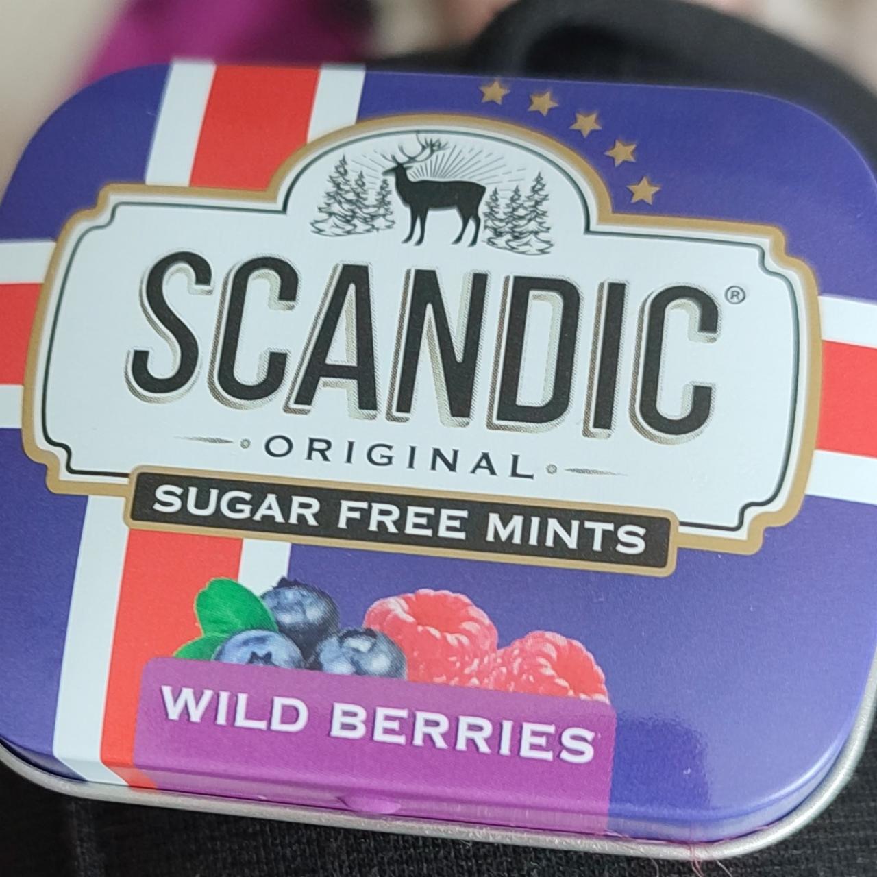 Фото - Драже без сахара со вкусом лесные ягоды Wild Berries Scandic