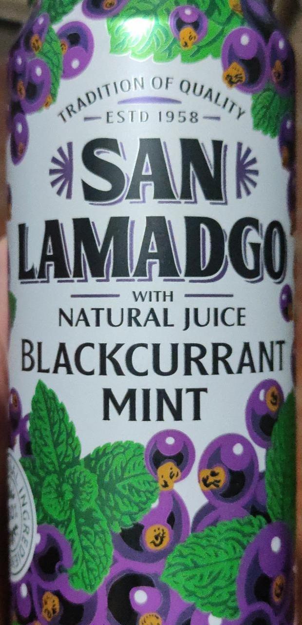 Фото - Blackcurrant mint San lamadgo