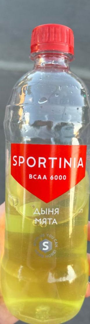 Фото - Bcaa 6000 дыня мята Sportinia