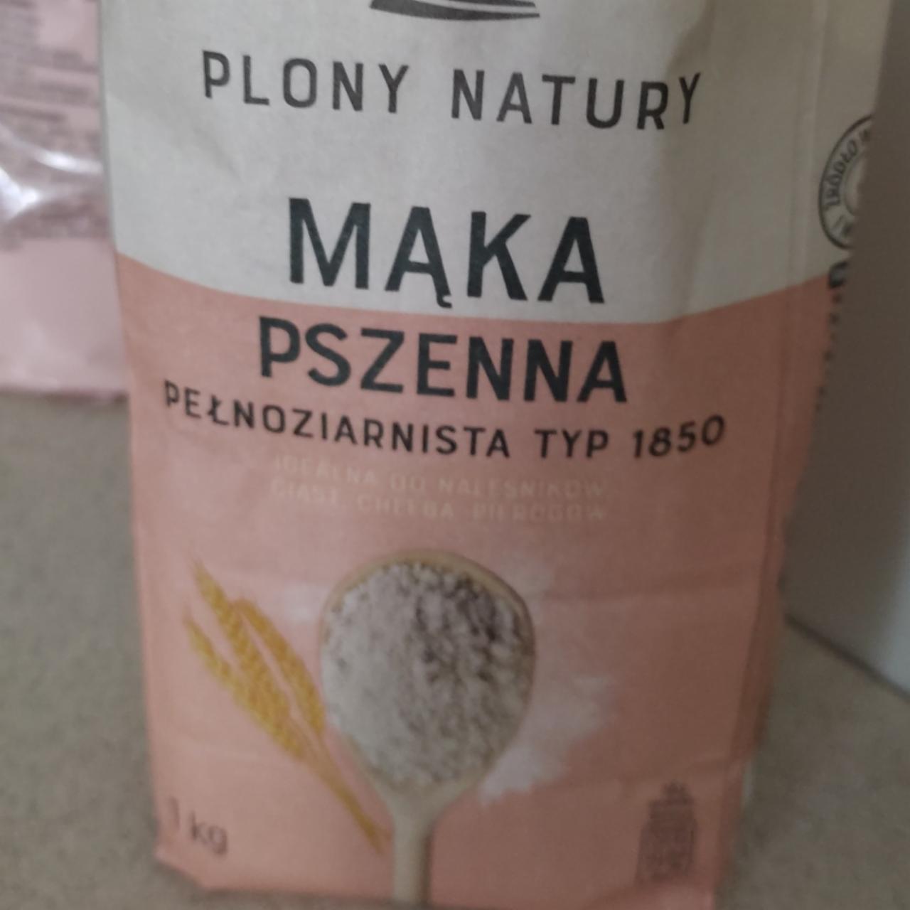 Фото - Mąka pszenna pełnoziarnista typ 1850 Plony Natury