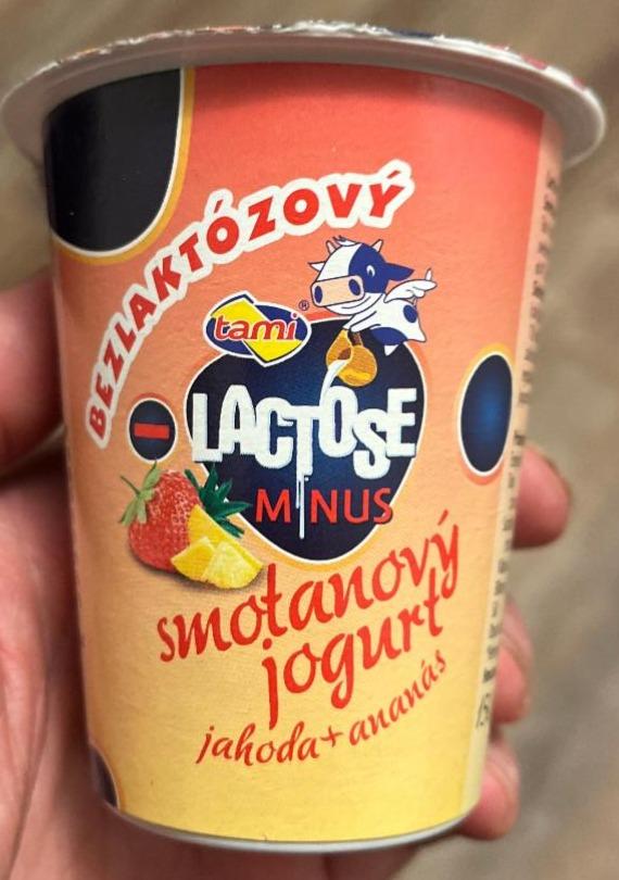 Фото - Smotanovy jogurt jahoda ananas lactose minus Tami