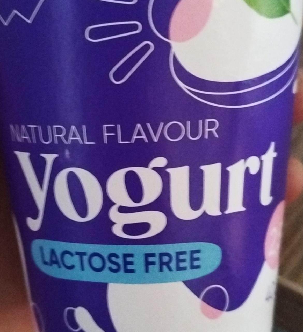 Фото - Natural flavour yogurt lactose free 2,5% Well done