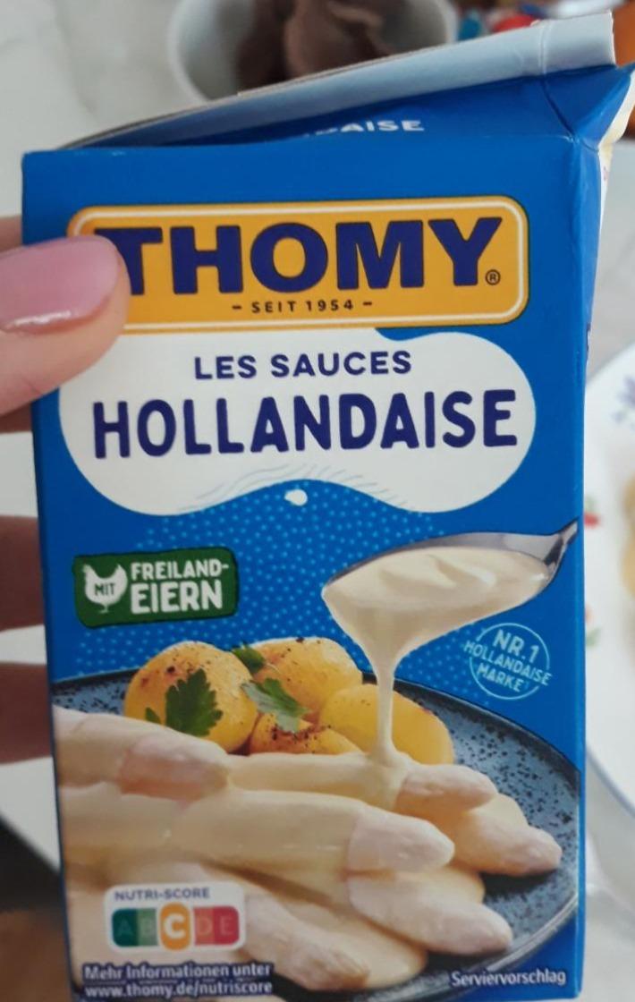 Фото - sauce hollandaise