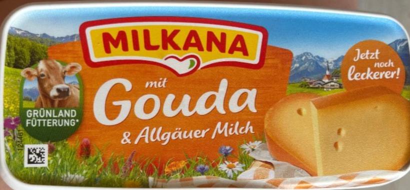 Фото - Gouda mit Milkana