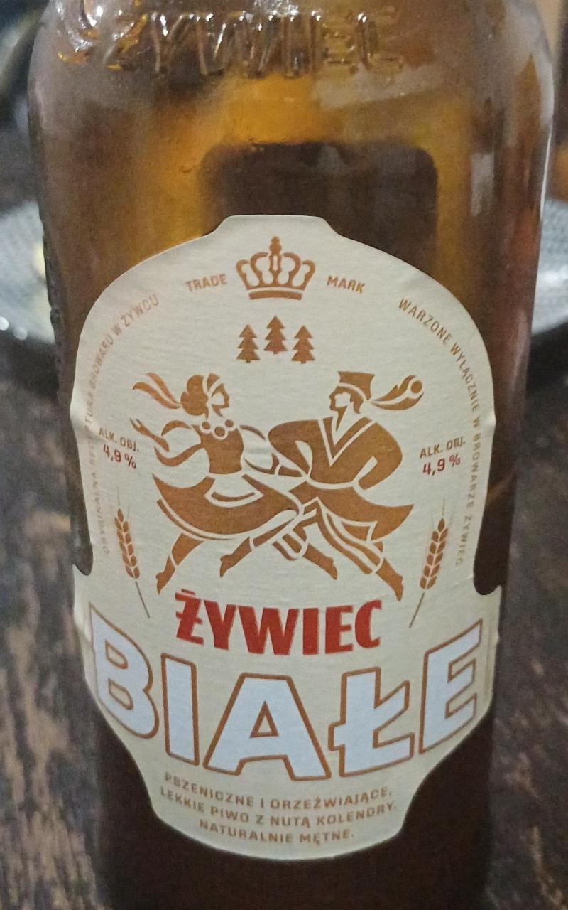 Фото - Пивное белое пшеничное Żywiec