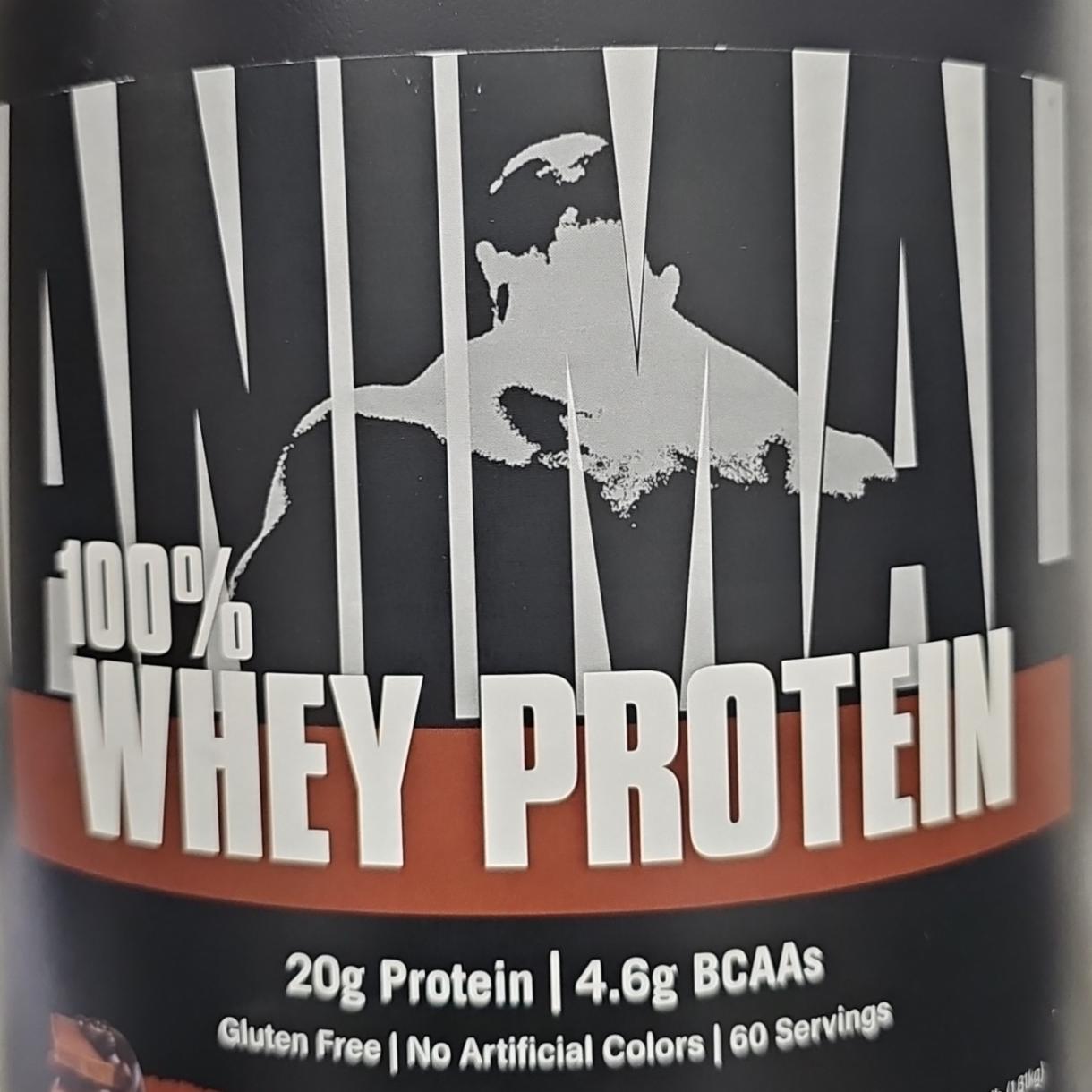 Фото - Protein animal chocolate 100% Whey