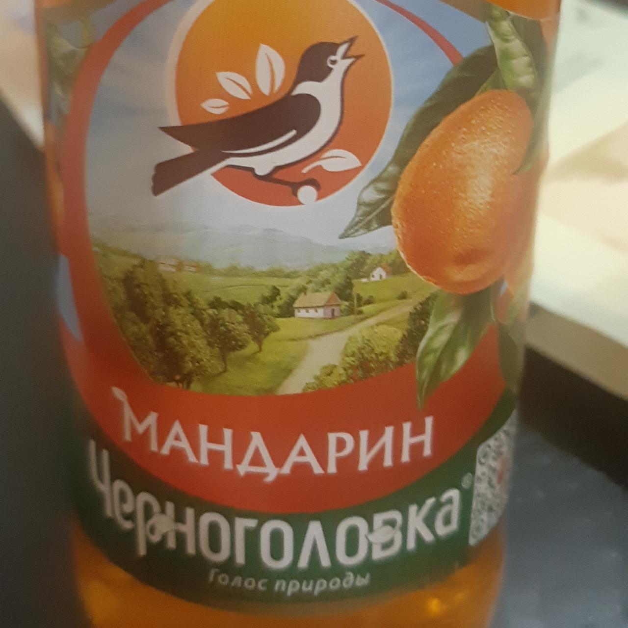 Черноголовка мандарин фото