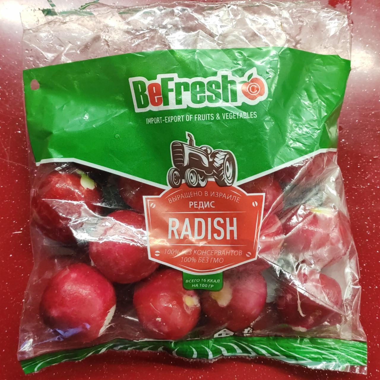 Фото - Редис Radish BeFresh