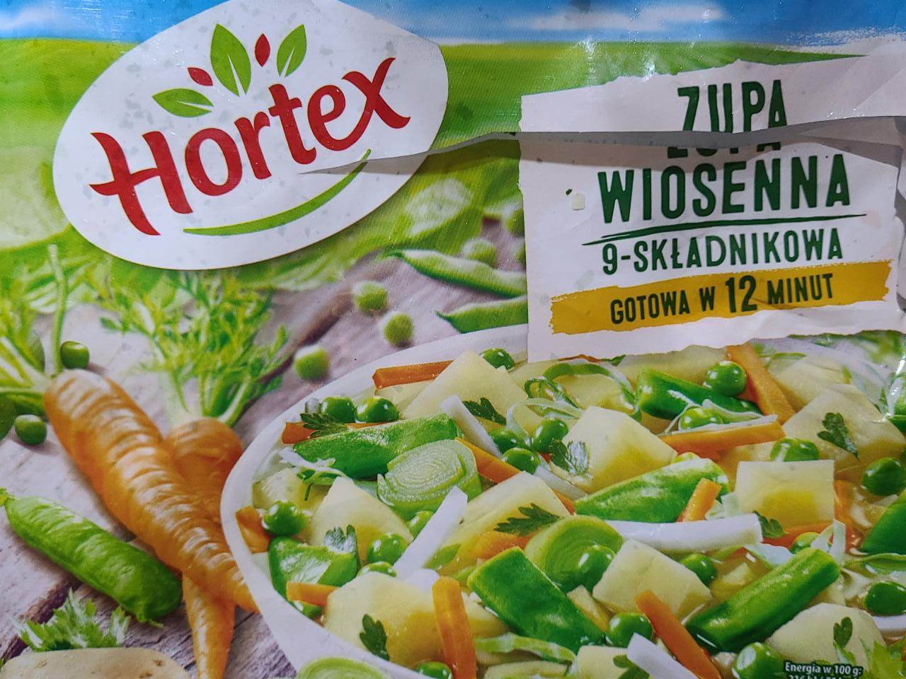 Фото - Zupa wiosenna 9-składnikowa Hortex