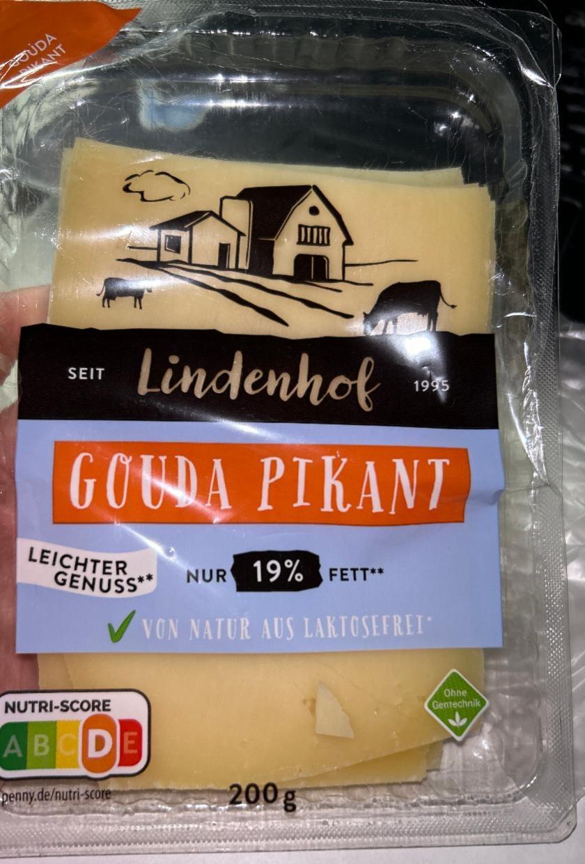 Фото - Gouda pikant 19% Lindenhof