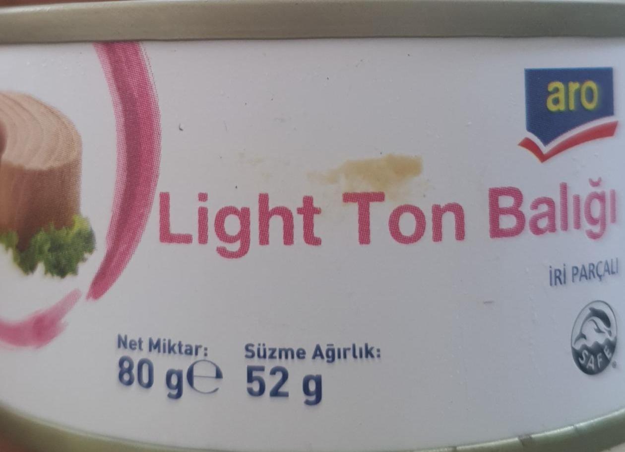 Фото - Light ton balığı Aro