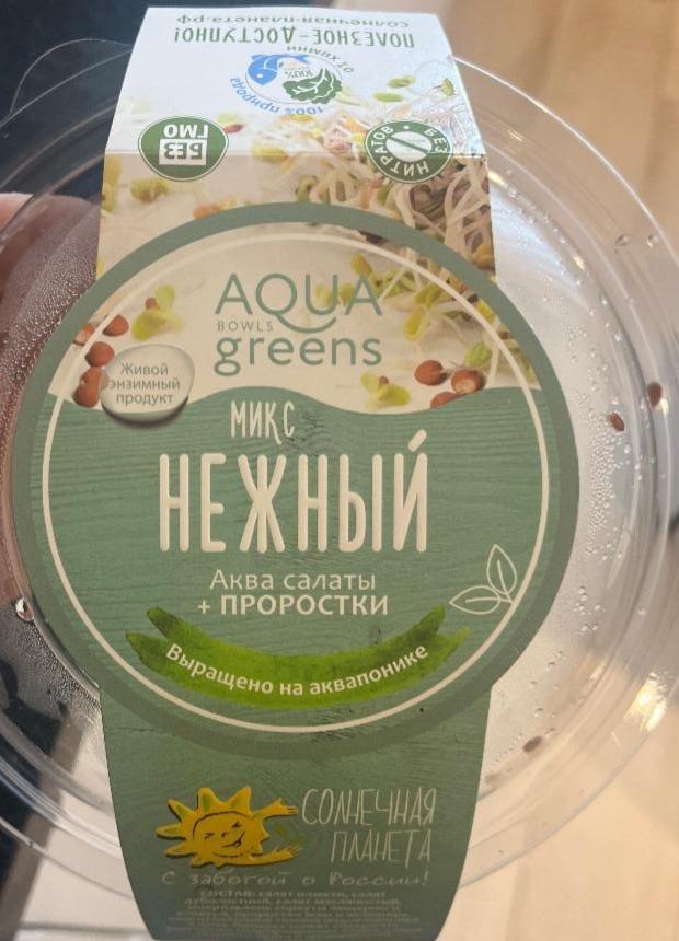 Фото - Аквасалат с проростками Микс Нежный Aqua greens Солнечная планета