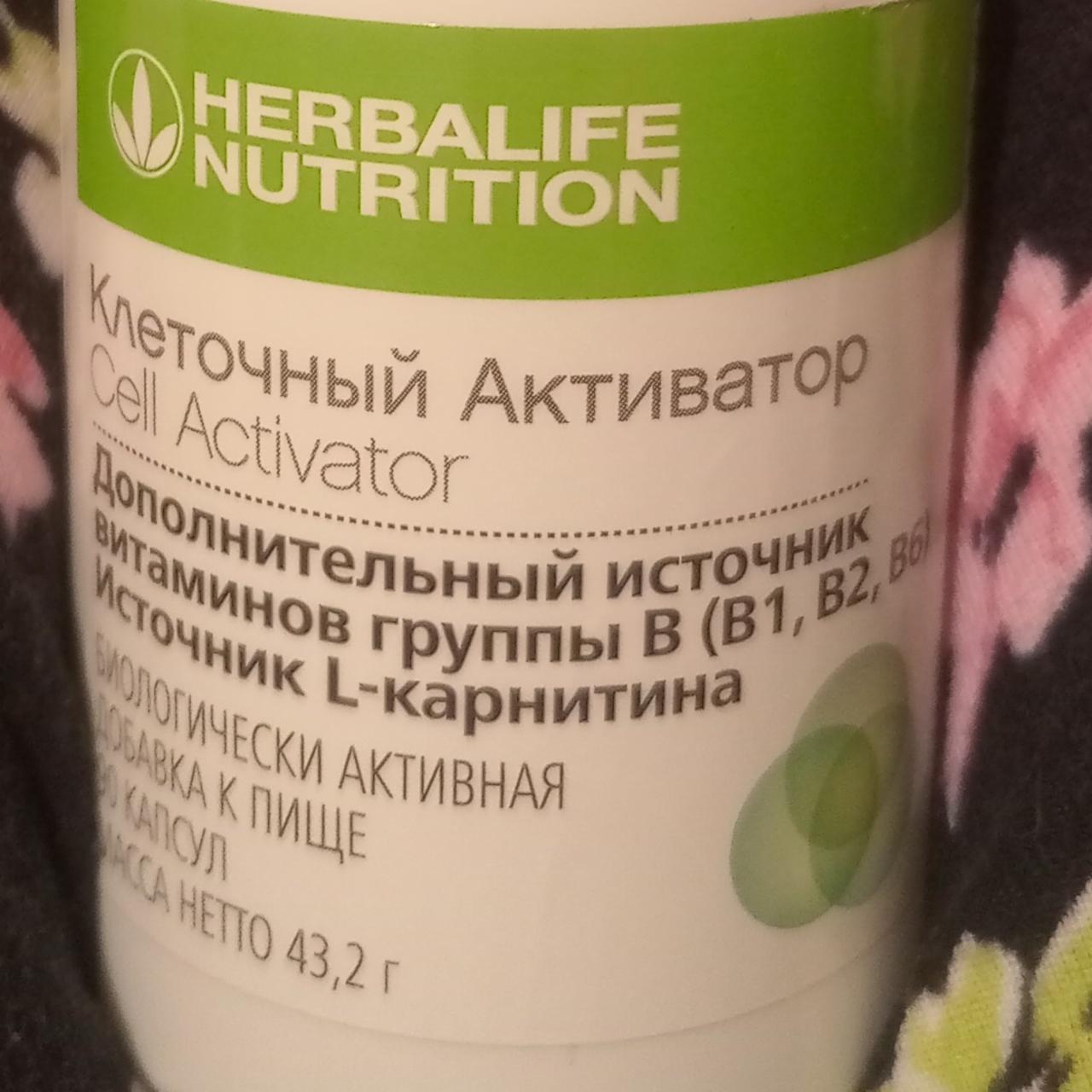 Томатный суп с базиликом Гербалайф HerbaLife - калорийность, пищевая  ценность ⋙ TablicaKalorijnosti.ru