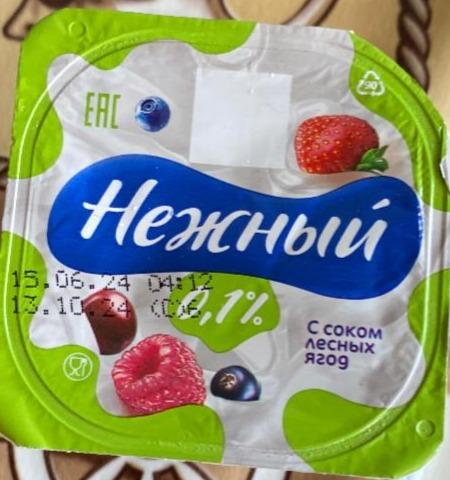 Фото - Йогурт Нежный с соком лесных ягод Лёгкий 0.1% Campina