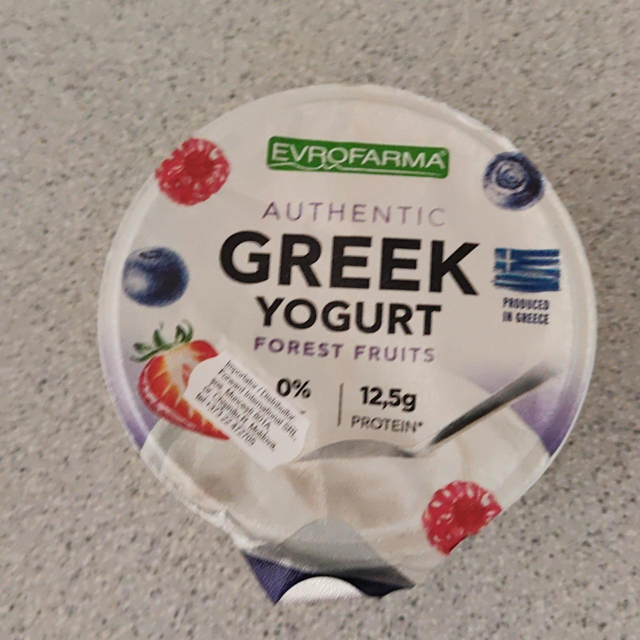 Фото - Yogurt authentic Greek forest fruits Evrofarma