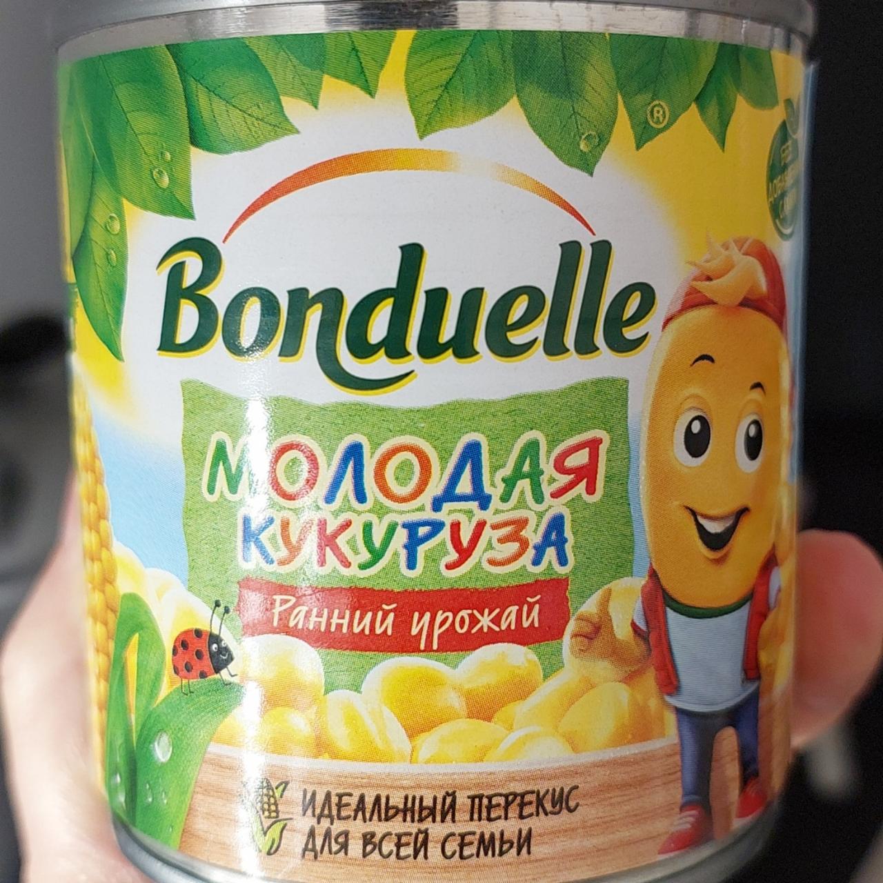 Фото - Молодая кукуруза ранний урожай Bonduelle