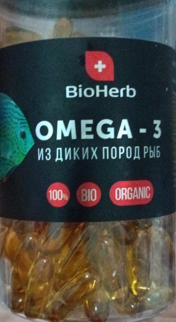 Фото - Oмега-3 из диких пород рыб BioHerb