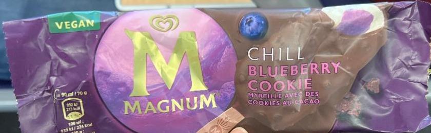 Фото - Chill blueberry cookie Magnum