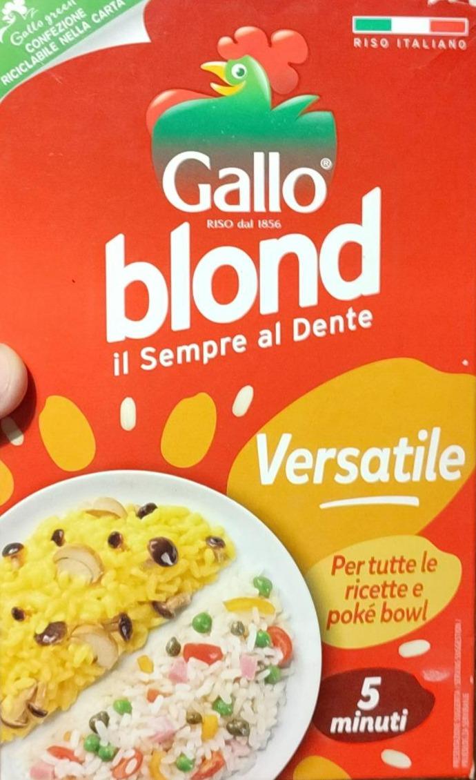 Фото - Blond il sempre al dente insalate Gallo