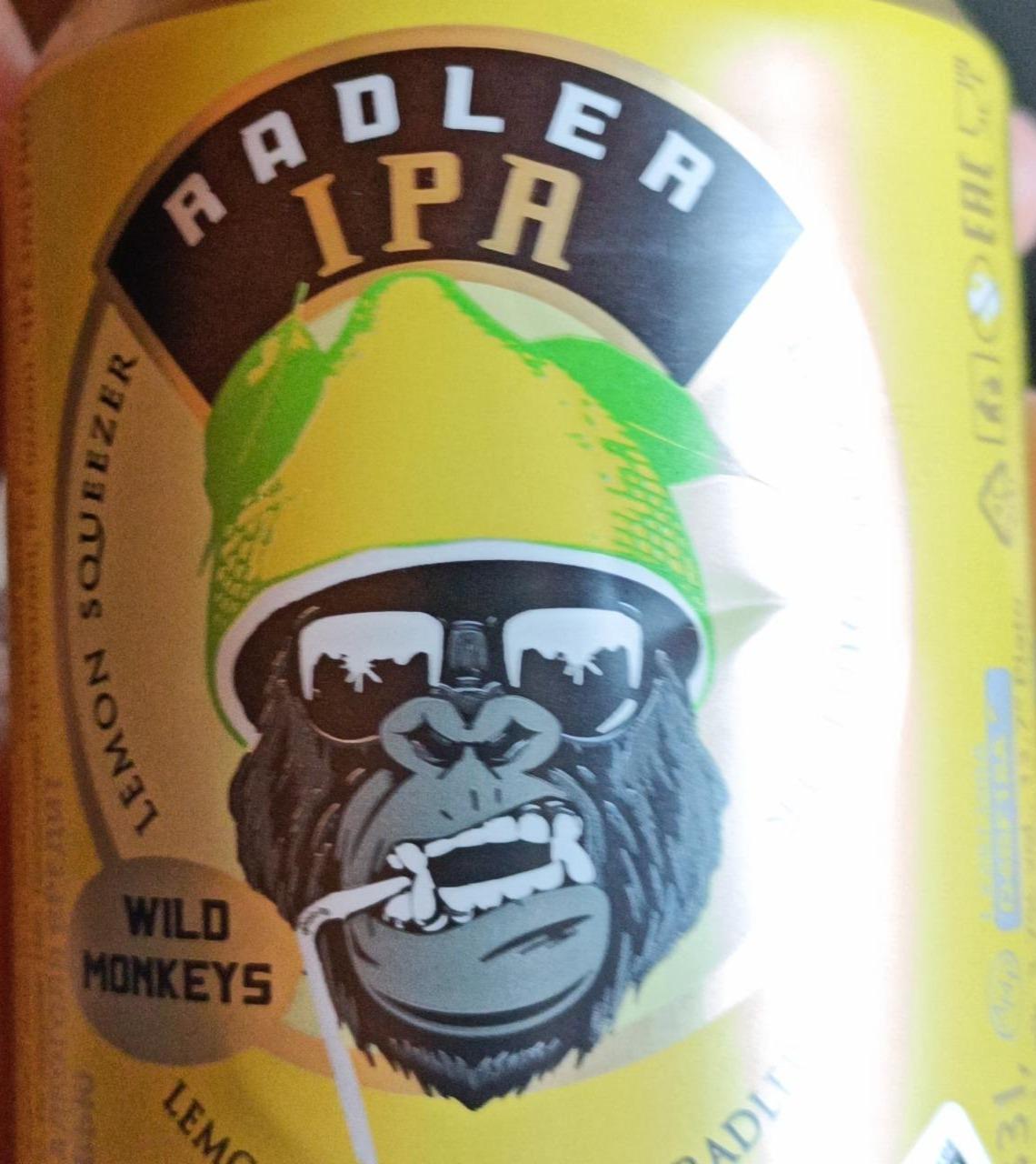 Фото - Hop Rider Radler Ipa