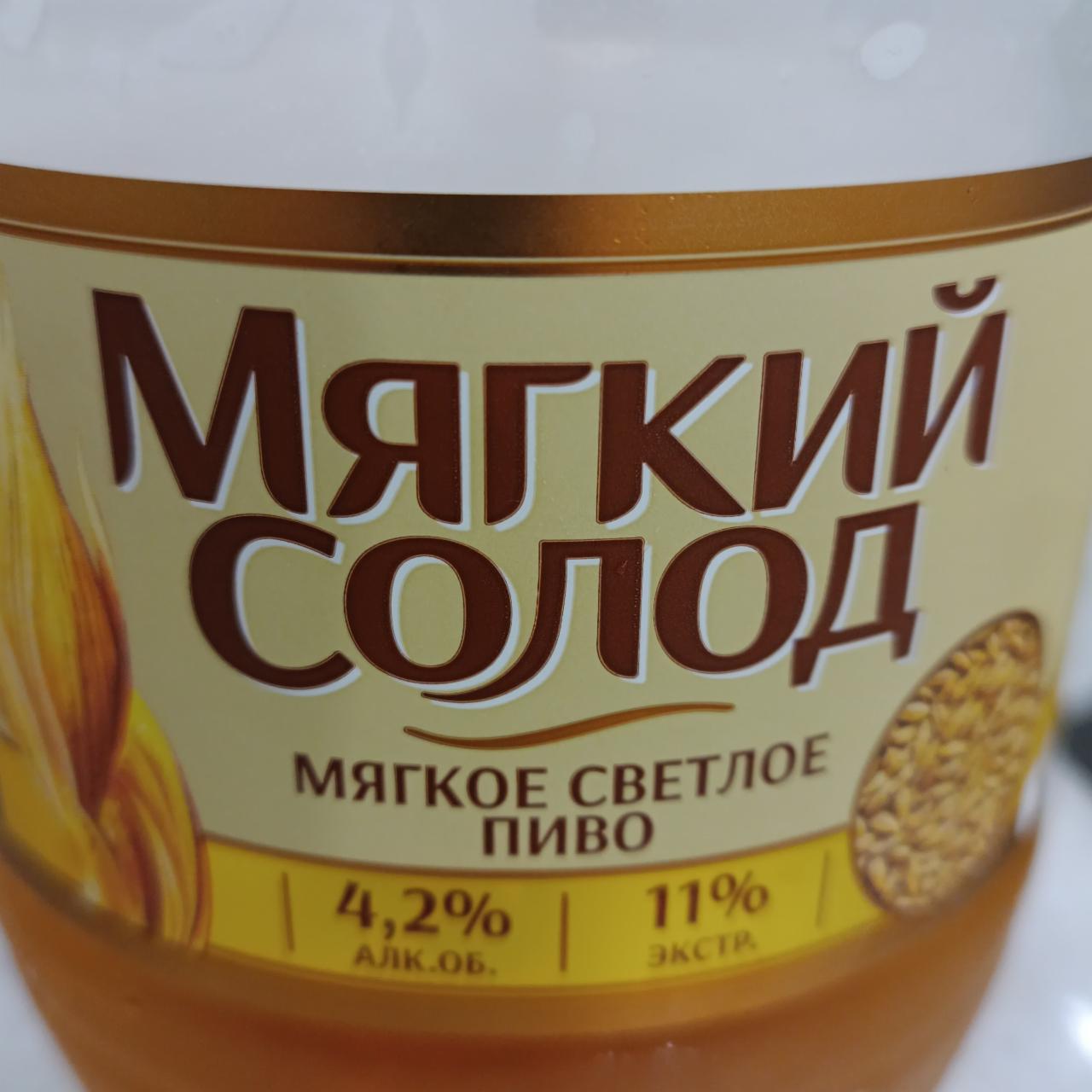 Фото - Пиво мягкое светлое фильтрованное 4.2% Мягкий солод