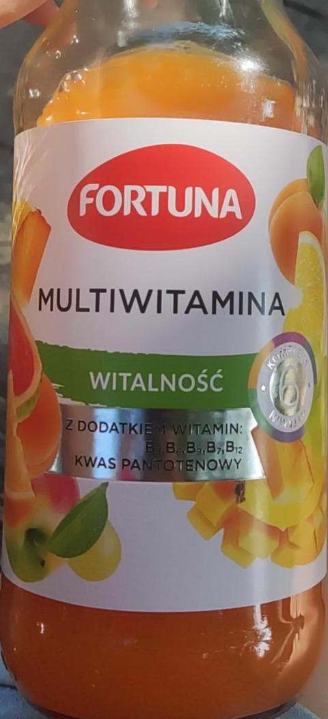 Фото - Juice Multivitamin 100% Fortuna