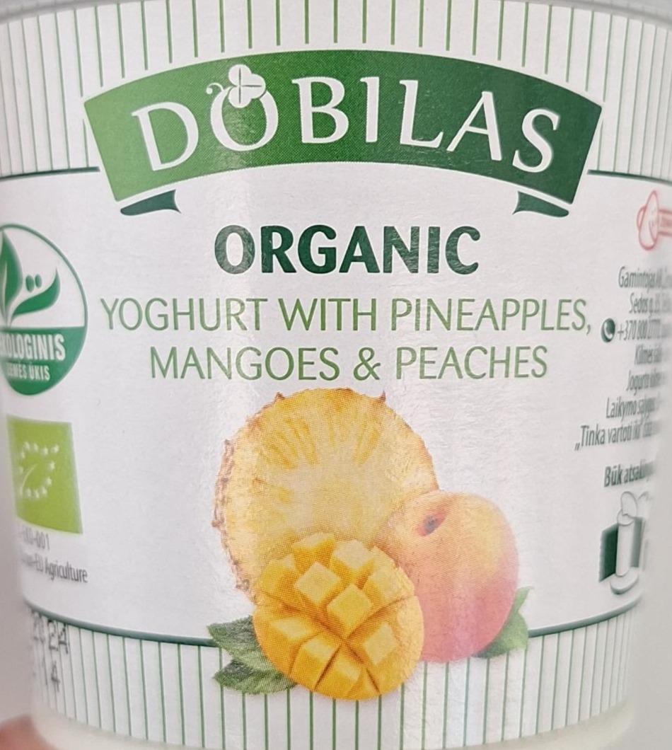 Фото - Organic yoghurt with pineapples, mangoes,peaches Dobilas