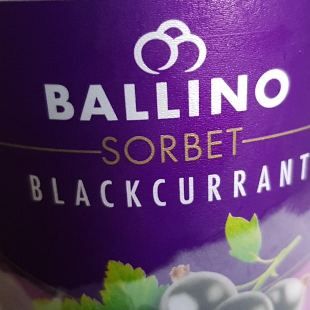 Фото - Sorbet blasckcurrant Ballino