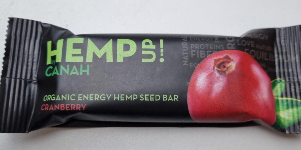 Фото - Organic energy hemp seed bar with cranberry Hemp up!