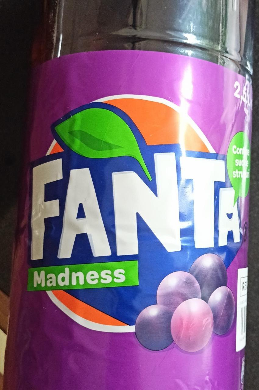 Фото - Madness Fanta