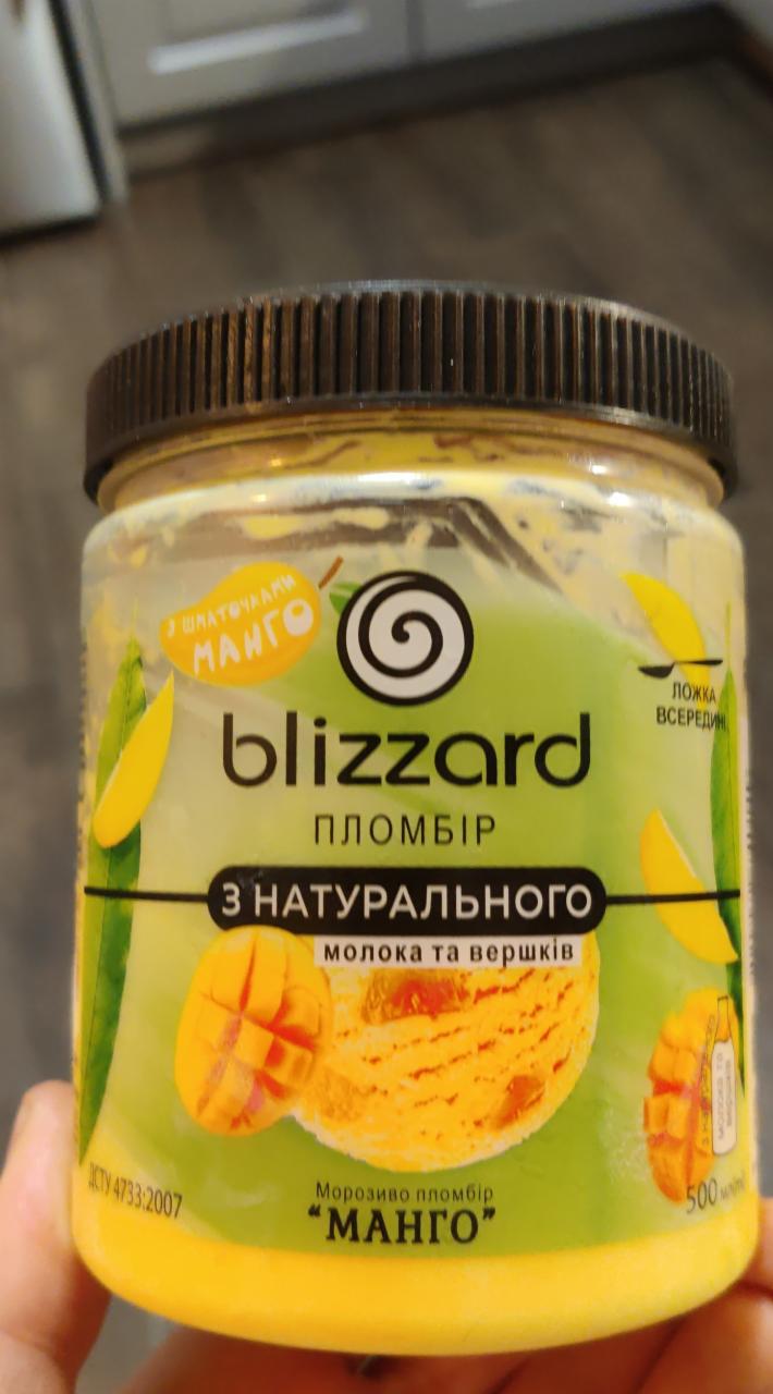 Фото - Пломбир из натурального молоко и сливок Манго Blizzard