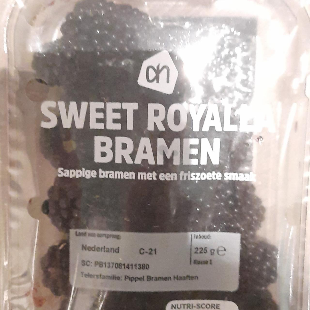 Фото - On Sweet Royalla Bramen AH